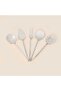 Ece 5 Piece Service Set - Platinum