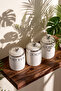 Motto Porcelain 3-Piece Spice Rack Set - 2