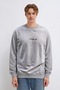 Men's Premium Cotton Loose Anthracite Printed Sweatshirt - 6