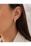 Vip Series Rose Steel Pastel Zircon Stone Luxury Women's Earrings - 3