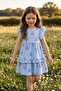 Gingham Ribbon Patterned Blue Ruffle Sleeve Girls' Dress - 5