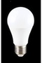 LED AMPUL