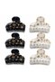 Women's Large Size Latch Buckle Set of 6 – Black & Transparent Gold Patterned Hair Clips