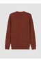 Lcwaikiki Classic Brown Crew Neck Men's Sweatshirt - 6
