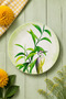 Bird and Leaf Patterned (6-Piece 27 cm) Serving Plate, Breakfast and Presentation Plate Set - 3