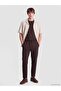 Xside Brown Regular Fit Men's Trousers