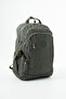 Imported Fabric Healthy Waterproof Large Size Backpack with Laptop Compartment - Many Pockets, Padded Straps (Middle School, High School & Adults) + Monkey Accessory (Length 49 cm Width 39 cm) D/1 - 4