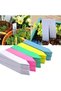 100pcs Garden Plant Labels Plant Accessories Flower Pots Plastic Plant Tags Nursery Markers Label... - 2