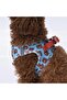 Bears Air-mesh Chest Collar Cat Dog Chest Collar - 4