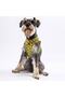 Cactus Air-mesh Harness Cat Dog Harness - 2