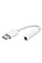 Jh-022 USB Type-C to 3.5mm 10 cm Wired Audio Converter