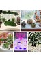 100G White Stone with Soul, Suitable for Fish Tank decoration, flower pot filling, landscaping, Vas - 5