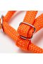 Parakeet Collar – Adjustable Travel Harness - 4