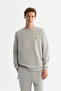 Men's Gray Crew Neck Flexible Soft Texture Interlock Fabric Basic Regular Fit Sweatshirt B001100