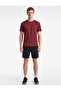 Regular Fit Short Sleeve Crew Neck Basic Sports T-Shirt