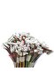 Length 10CM 4P 1.25MM 5Sets JST XH2.54 XH ZH PH 1.25mm 1.5mm 2.0mm 2.54mm Wire cable Connector 2 3 4 - 5