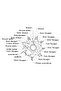 WHITE Multifunctional Snowflake Wrench Tool Popular portable Stainless Steel Creative Outdoor bicycl - 6