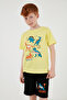 Cotton Printed Crew Neck Short Sleeve Shorts Suit Boys' SET6212021 - 3