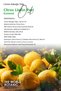 Lemon Peel Oil, Pure Undiluted, Essential Oil. (Lemon Peel Oil) Undiluted, Pure 250 ml - 5