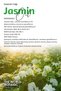 Jasmine Oil, Pure Undiluted, Essential Oil. (Jasmine Grandiflorum Oil)Undiluted, Pure10 ml - 4