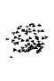 3 Hole Black 14X14 mm Black Beads Accessory (20 Pieces)