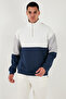 Color Block Regular Fit Half Zipper Stand Collar Sweat Men's Sweat 5905719 - 6