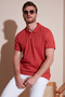 100% Cotton Regular Fit Buttoned Polo Neck T Shirt Men's Polo Neck T Shirt5902127 - 2