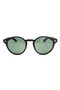 1037 C160 49 نظارات شمسية مستقطبة من Polo Exchange