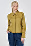 Striped Eyelet Embroidery and Cotton Piece Blouse in Oil Green