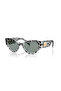 Dg 4480 53 3287/1 Dolce & Gabbana Women &Apos; S Sunglasses