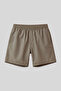 Camel Quick Dry Standard Fit Men's Swim Shorts - 81237