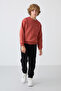 Brick-Black Cotton Thick Fleece Lined Standard Fit Printed Boys' Tracksuit Set - 11257