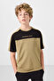 Dark Beige Cotton Soft Textured Oversize Fit Embroidered Boys T-Shirt - 11290