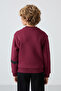 Erguvan Cotton Thick Fleece Lined Soft Textured Standard Fit Printed Boys' Sweatshirt - 11238 - 5