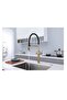 Kitchen Sink Faucet with Dual Flow Water Purification Outlet, Spiral and Spout, Matte Gold, 7 Year Warranty, Imported - 5