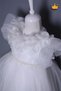 2-8 Years Old Rose Collar, Granular, Fluffy Tulle Baby Girl Evening Dress, Holiday Wedding Dress 3502 - 5
