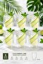 6-Piece Double Glass Double Wall Cup 350 ml Home Office Cup Double Layer Thermal Insulated Mug with Handle - 5