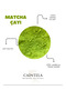 Ceremonial Grade Matcha Tea 50 Grams (Camellia Sinensis) - 2