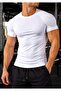 Men's Premium Raglan Seam Compression T-Shirt - Ultra-Stretchy and Breathable
