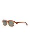 CR80117 C04 52 نظارات شمسية للرجال