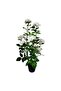 Tori Artificial Rose Tree with Pot, 72 cm, Assorted
