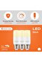 مصابيح طويلة LED 5 واط E27-6 حزمة ضوء نهاري 6500 كلفن من لوازم - موفرة للطاقة 35 واط غير قابلة للتعت - 3