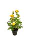 Tori Artificial Rose Tree with Pot, 41 cm, Assorted - 5