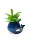 Ceramic Whale Planter with Plant - 2