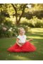 Girl's Floral Appliqué Laser Cut Lace Detailed Tulle Evening Dress 4-8 Years Birthday, Wedding, Special Occasion - 7