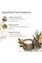 Deep Reviving Hair Mask with Organic Argan & Macadamia Oils 250ml | 96.9% Natural | Nourishing & Repairing Treatment for Dry, Damaged Hair | Vegan Formula - 3