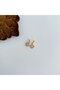 Solira Steel Earring |   Steel Earrings