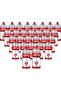 Butane Gas Can -28 Pieces (1 Carton)-Butane Cartridge For Camping Stoves, Torch Light,Portable Stove- High Performance Mix | Stoves-220Gm-Portable Stove