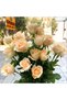 210 Rose Seeds - 5
