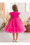 Girls Magenta A-Line Tulle Dress with Ruffle Details - 2